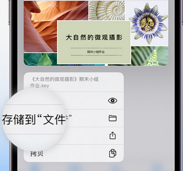 乌鲁木齐apple维修中心分享iPhone文件应用中存储和找到下载文件