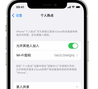 乌鲁木齐apple服务站点分享iPhone上个人热点丢失了怎么办 