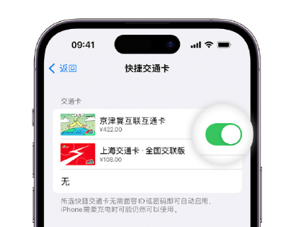 乌鲁木齐apple维修点分享iPhone上更换Apple Pay快捷交通卡手绘卡面 