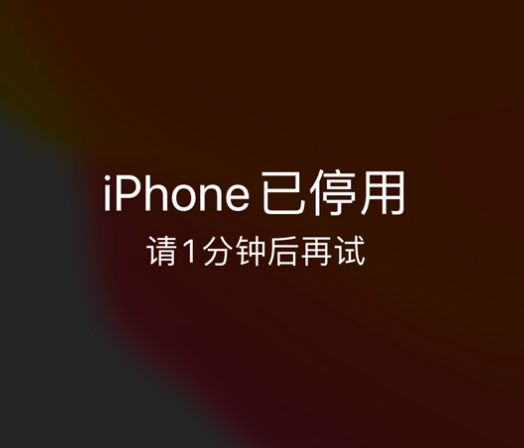 乌鲁木齐苹果手机维修分享:iPhone 显示“不可用”或“已停用”怎么办？还能保留数据吗？ 