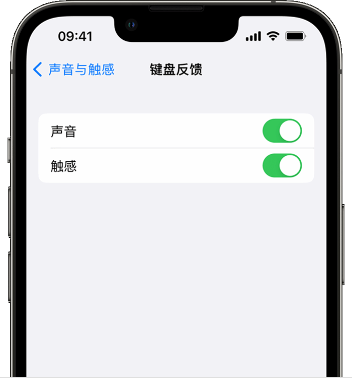 乌鲁木齐苹果14维修店分享如何在 iPhone 14 机型中使用触感键盘 