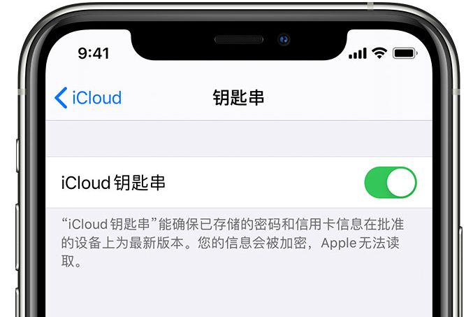 乌鲁木齐苹果手机维修分享在 iPhone 上开启 iCloud 钥匙串之后会储存哪些信息 