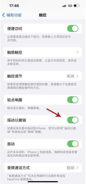 乌鲁木齐苹果手机维修分享iPhone手机如何设置摇一摇删除文字 