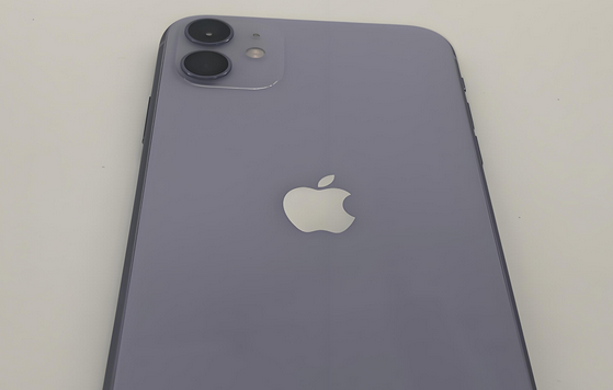 乌鲁木齐苹果11系统维修分享iPhone11手机系统崩溃无法开机如何解决 
